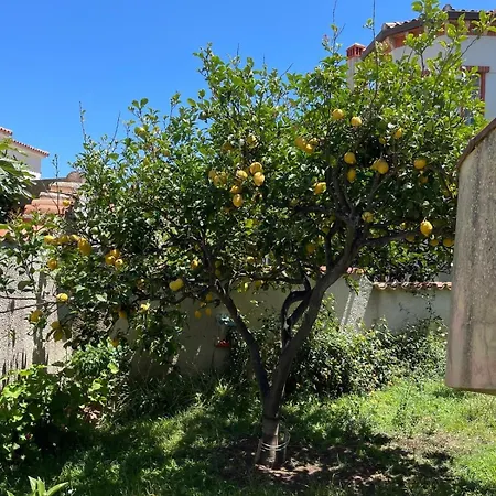 度假居 Casetta Con Terrazzo, Giardino E Ingresso Privato!